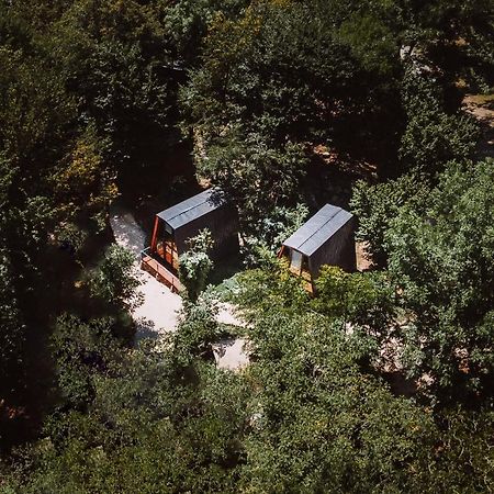 Eco Village In The Forest Lagodekhi Luaran gambar