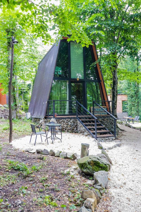Eco Village In The Forest Lagodekhi Luaran gambar
