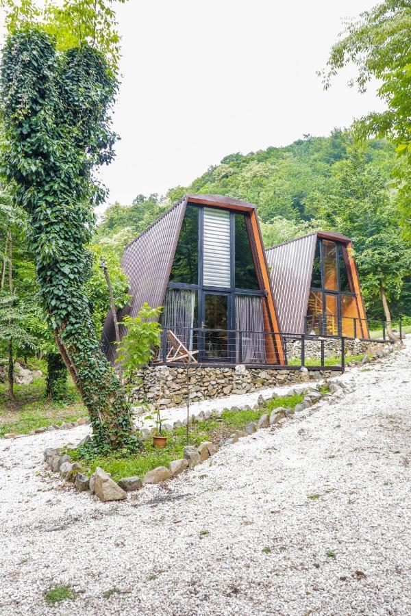 Eco Village In The Forest Lagodekhi Luaran gambar