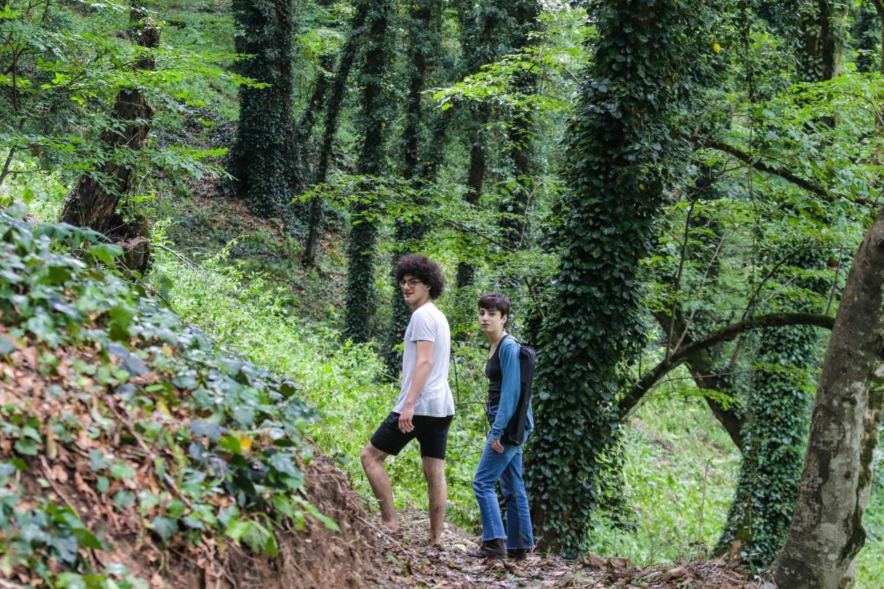Eco Village In The Forest Lagodekhi Luaran gambar