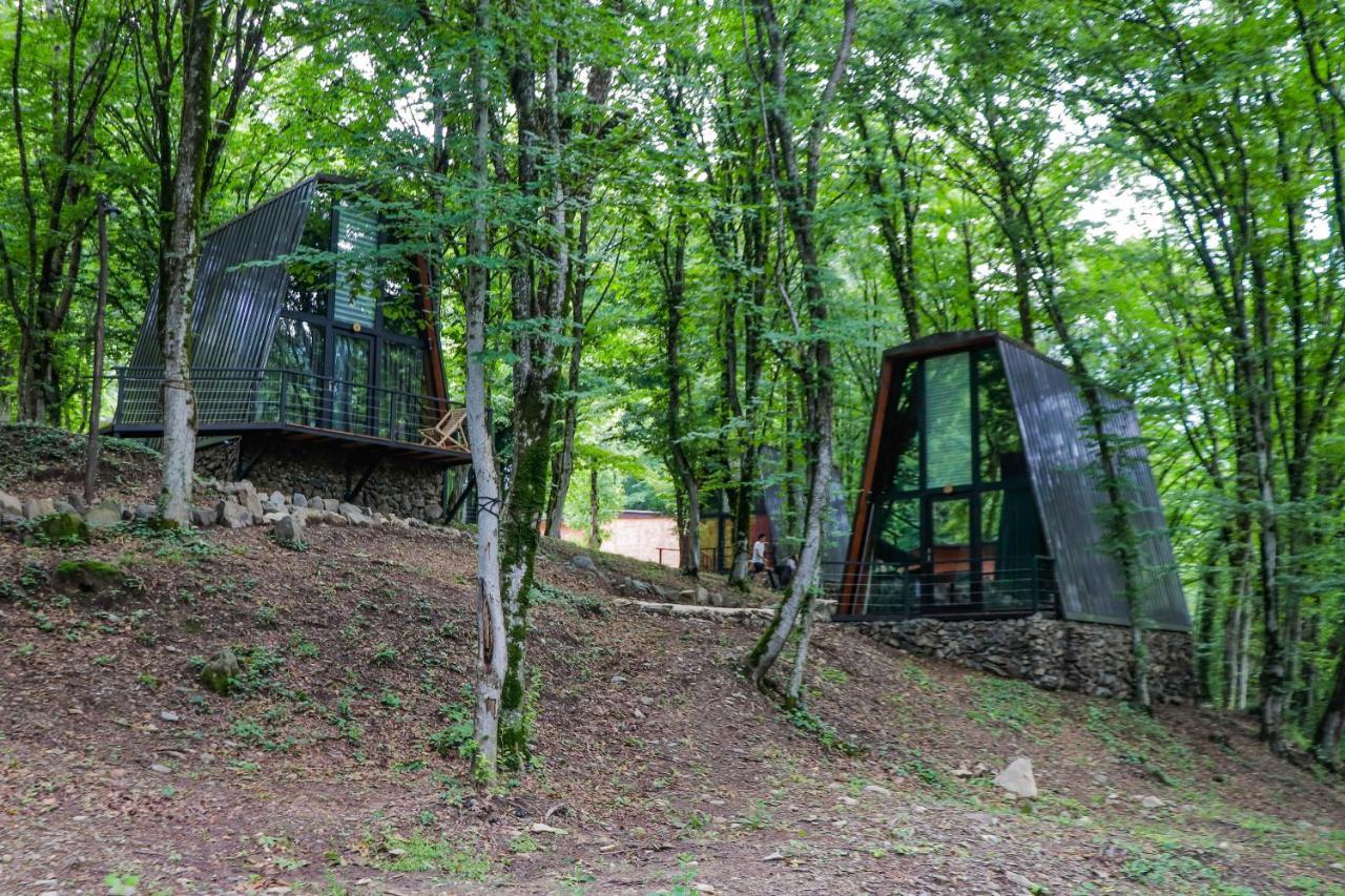 Eco Village In The Forest Lagodekhi Luaran gambar