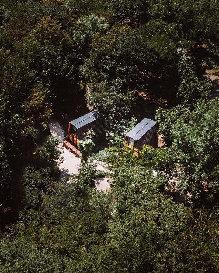 Eco Village In The Forest Lagodekhi Luaran gambar