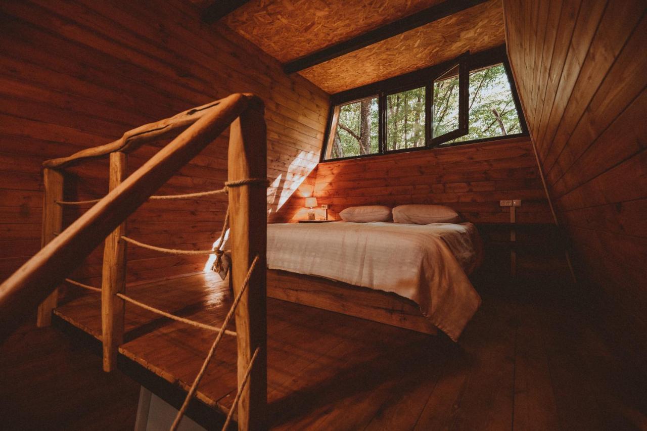 Eco Village In The Forest Lagodekhi Luaran gambar