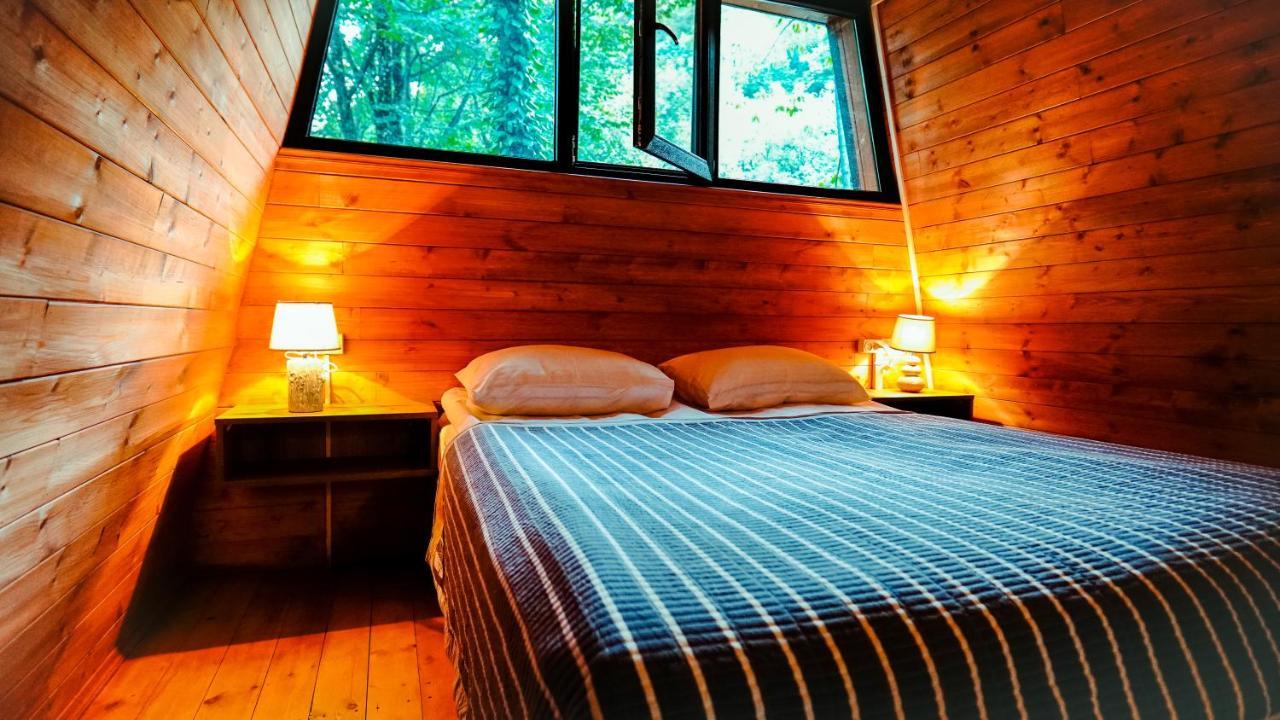 Eco Village In The Forest Lagodekhi Luaran gambar