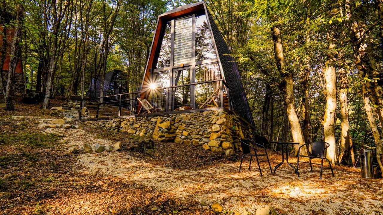 Eco Village In The Forest Lagodekhi Luaran gambar