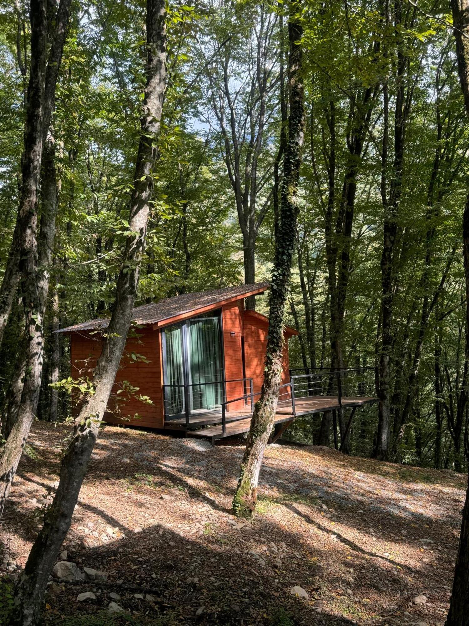 Eco Village In The Forest Lagodekhi Luaran gambar